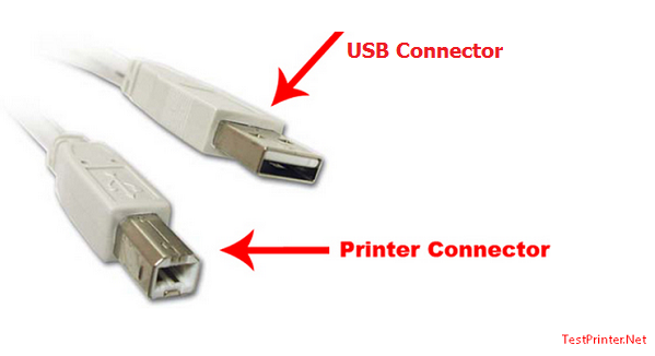 Describes how to connect Canon LBP 2900 printer to your computer